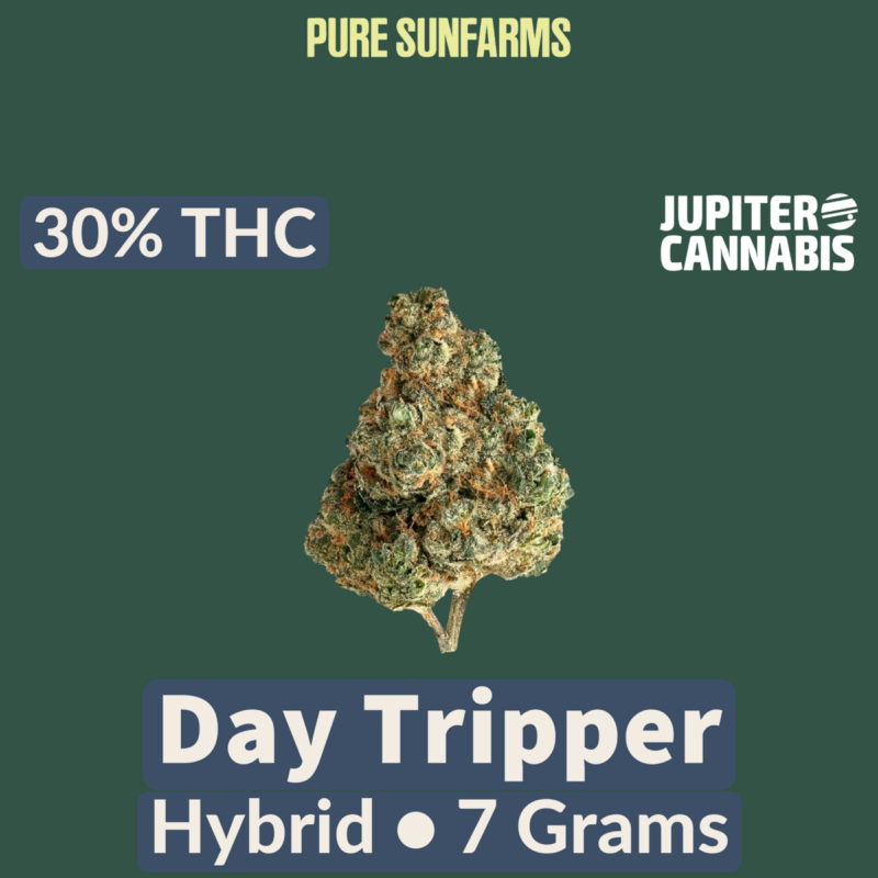Pure Sunfarms Pure Sunfarms Day Tripper 7g - Jupiter Cannabis Winnipeg
