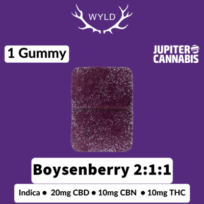Wyld Wyld Boysenberry 2:1:1 - Jupiter Cannabis Winnipeg